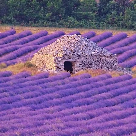 Entre Ventoux Et Luberon Chambre D'Hote Sault-de-Vaucluse Exterior photo
